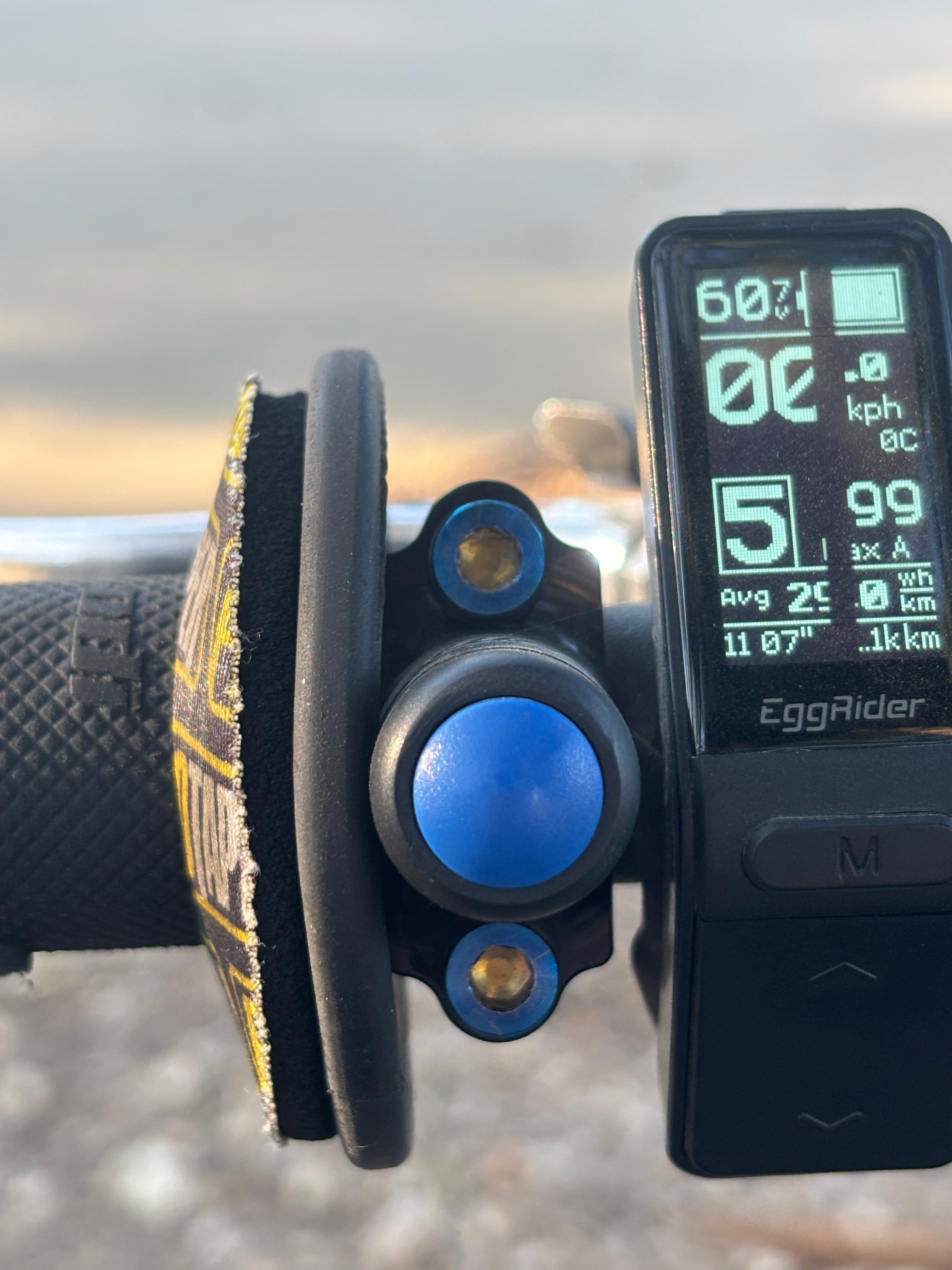 Titanium Warp9 horn / light mounts (set of 2)